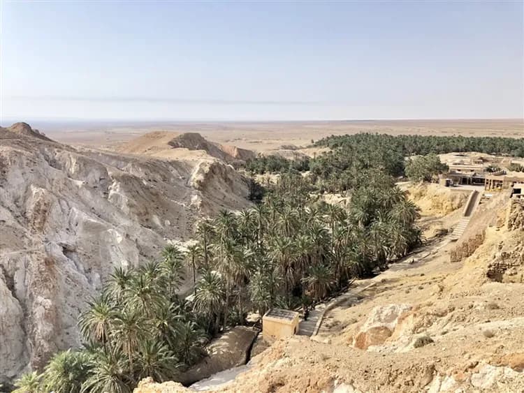 【突尼西亞旅遊10日】綠洲吉普車、吉特利鹽湖、撒哈拉沙漠、夜宿沙漠帳篷旅館-13