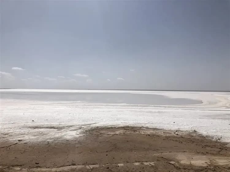 【突尼西亞旅遊10日】綠洲吉普車、吉特利鹽湖、撒哈拉沙漠、夜宿沙漠帳篷旅館-18