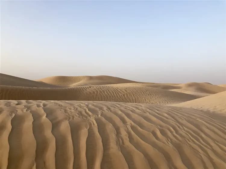 【突尼西亞旅遊10日】綠洲吉普車、吉特利鹽湖、撒哈拉沙漠、夜宿沙漠帳篷旅館-15