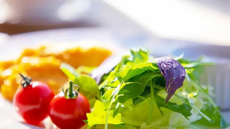 The Hotel Fujiyama 山中湖｜近平野之浜/提供接駁車-9