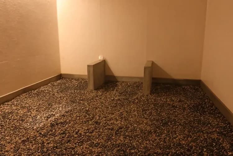 白馬 旅籠丸八｜近白馬岩岳滑雪場/寵物犬同住OK/白馬站開車10分-7