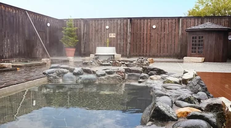 白馬 旅籠丸八｜近白馬岩岳滑雪場/寵物犬同住OK/白馬站開車10分-4