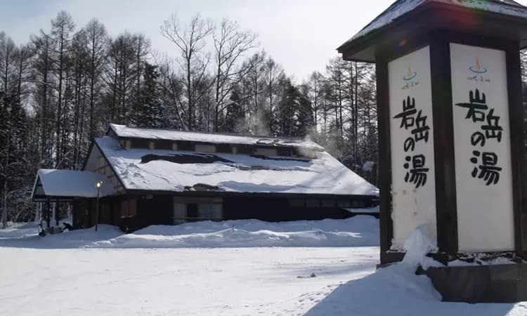 白馬 旅籠丸八｜近白馬岩岳滑雪場/寵物犬同住OK/白馬站開車10分-6