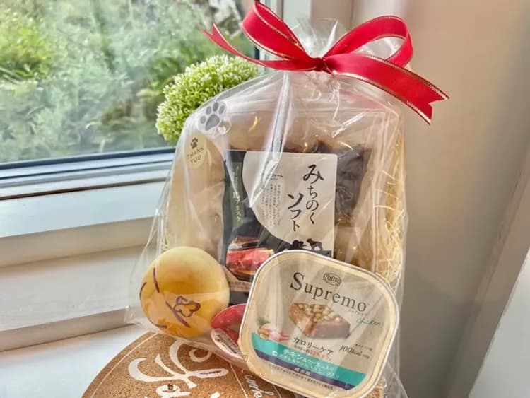 白馬 旅籠丸八｜近白馬岩岳滑雪場/寵物犬同住OK/白馬站開車10分-11