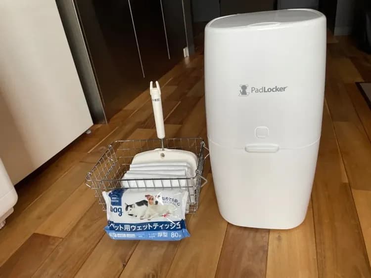 白馬 旅籠丸八｜近白馬岩岳滑雪場/寵物犬同住OK/白馬站開車10分-9