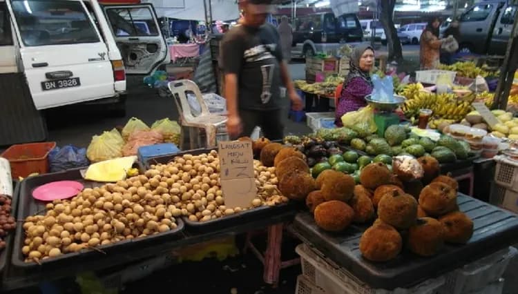 【汶萊旅遊】水上人家、長鼻猴雨林生態、詩里亞油田、帝國下午茶5日-9