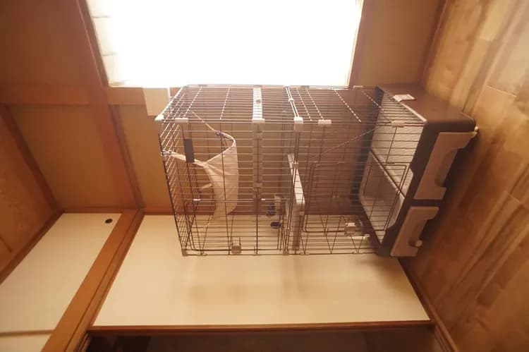 Sea Terrace Izukogen where you can stay with all pets (free of charge)-6