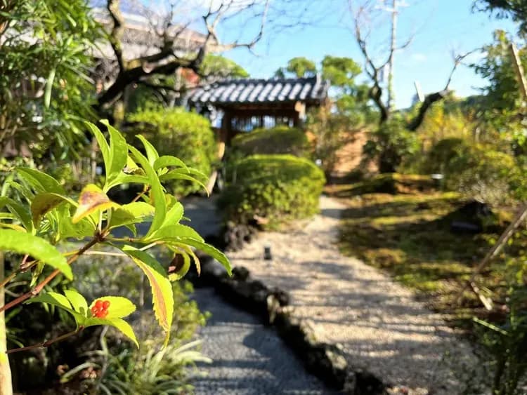 ・【庭園】中庭をのんびりお散歩しませんか