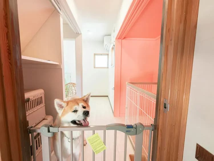 ・【ペットフェンス】ペットフェンス・クレート・ペットシーツ・ペットボウルなどペット用品も充実