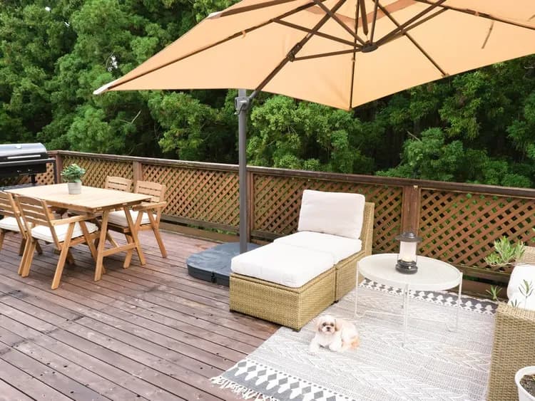 ・【デッキ】目の前に広がる杉林。マイナスイオンで癒されます