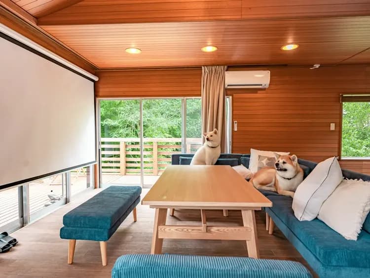 ・【スクリーン】ワンちゃんと一緒にゆったりお寛ぎください