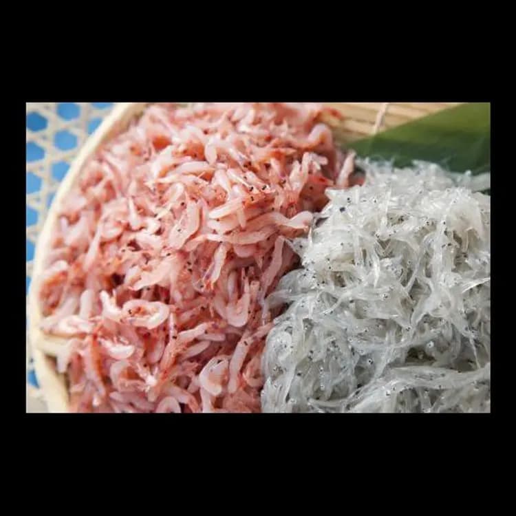 靜鐵商旅 Prezio 靜岡站北｜靜岡站步行3分/腳踏車租借-11