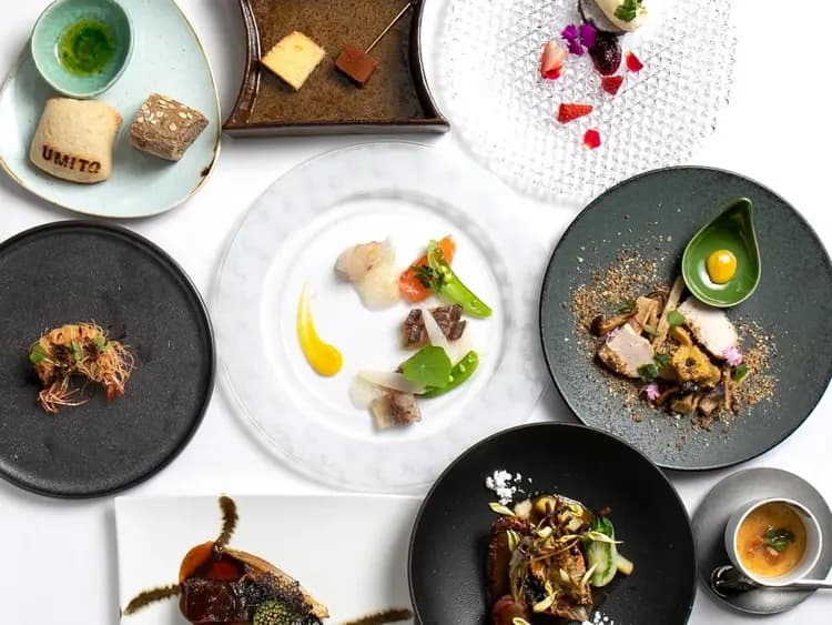 Umito Voyage Atami-6