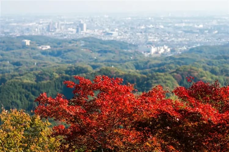 【飽覽富士山美饌楓紅名湯】