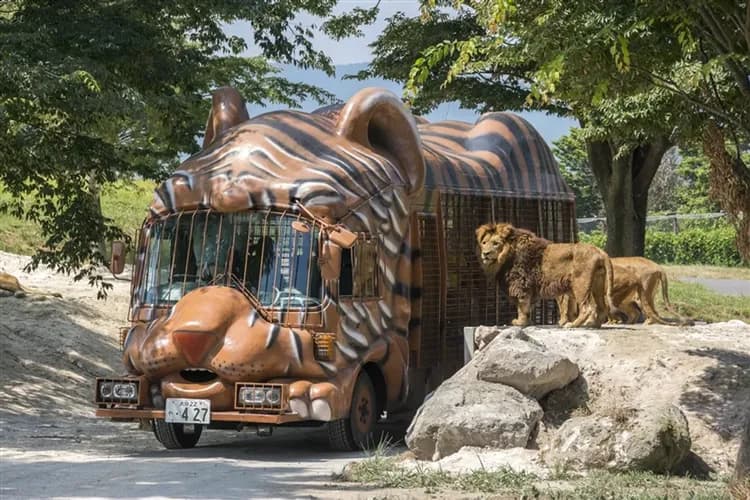 【九州5日 高雄直飛】自然野生動物園、叢林巴士、金鱗湖~湯布院、南阿蘇鐵道、居酒屋料理、溫泉