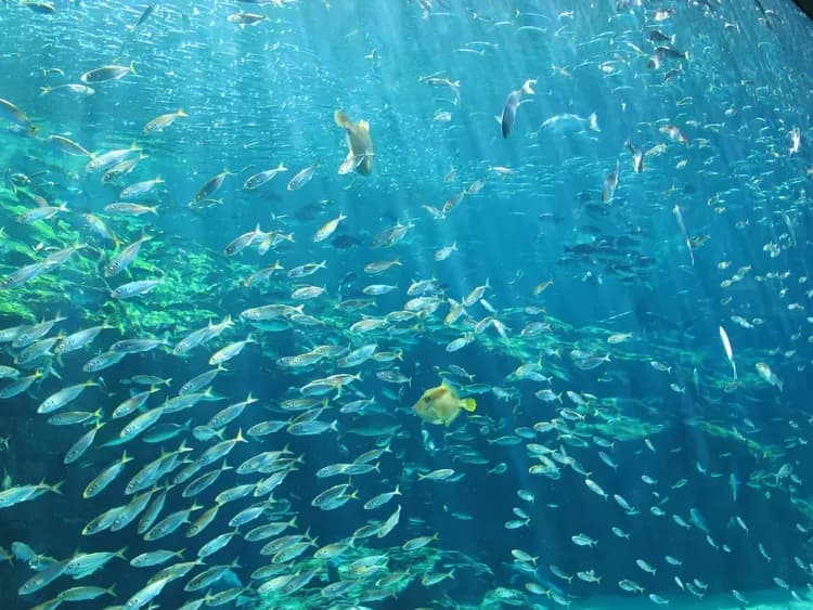 佐世保微笑飯店｜JR佐世保站開車5分/近九十九島水族館/佐世保漢堡步行10分-19