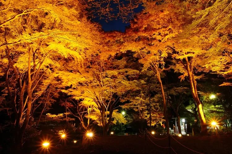 京都 叡山纜車・空中纜車單程車票-8