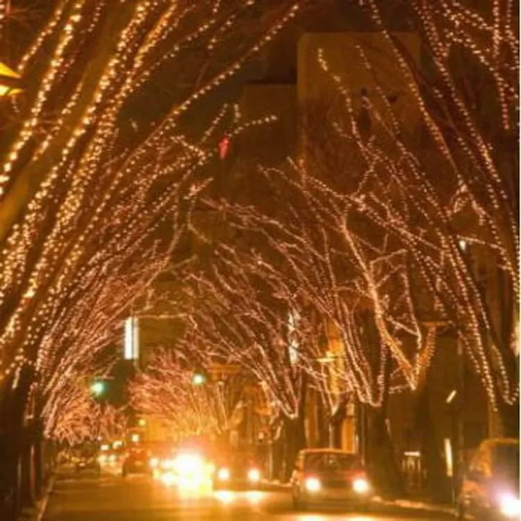NIIGATA Pageant of Light