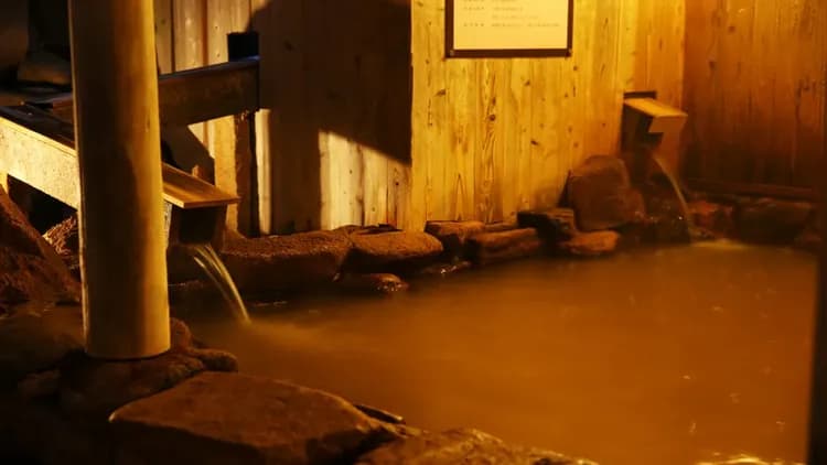 有馬溫泉 有馬皇家飯店｜有馬溫泉站徒步7分/近有馬溫泉商店街-11