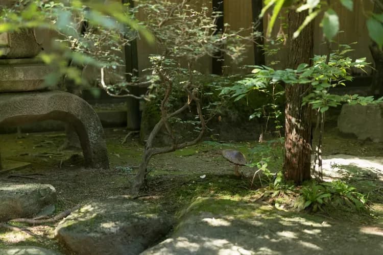 Sumiyoshi Ryokan (Gifu)-12