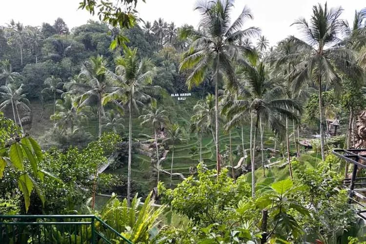 蜜月峇里、兩人成行～嘉蒂路威梯田、藍色斷崖公路、資生堂皇家SPA、獨棟泳池別墅五日-10