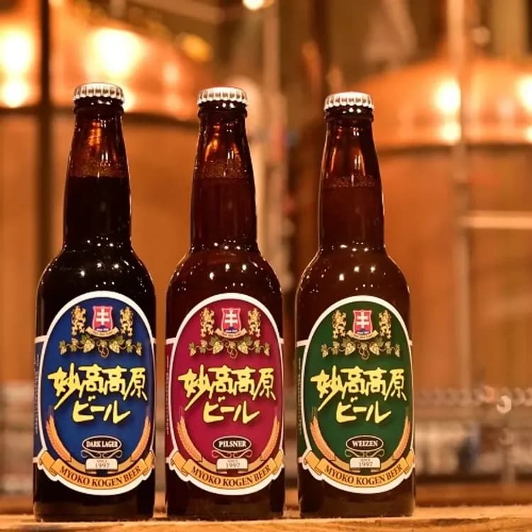 Alpen Blick飯店｜妙高高原溫泉/近池之平溫泉滑雪場-8