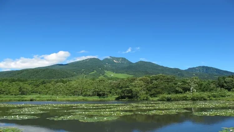 Alpen Blick飯店｜妙高高原溫泉/近池之平溫泉滑雪場-6