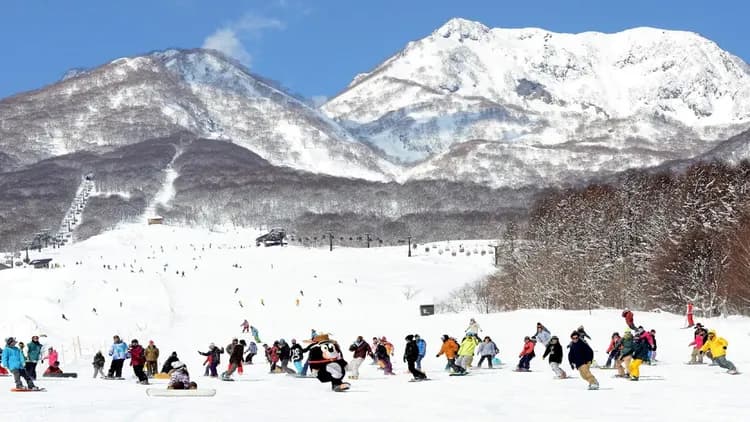 Alpen Blick飯店｜妙高高原溫泉/近池之平溫泉滑雪場-10