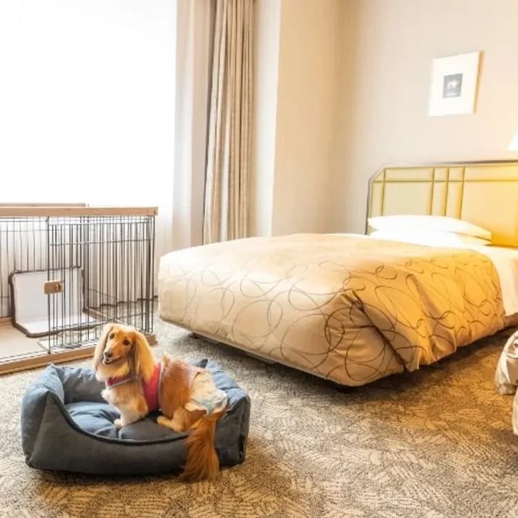 越後湯澤溫泉 NASPA 新大谷飯店｜越後湯澤站開車4分-11