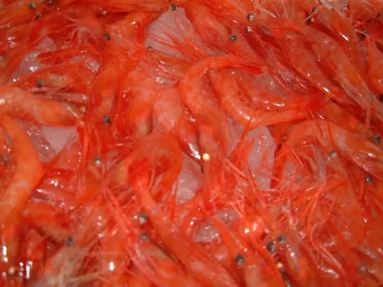 Sunset and Lake Hotel Aoki Ya (Sadogashima)-9