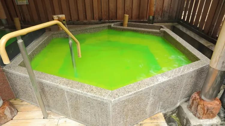 越後湯沢温泉　水が織りなす越後の宿　双葉-7