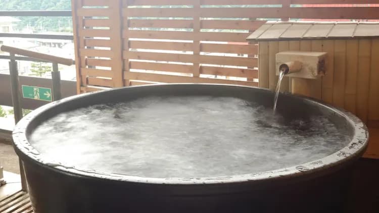 越後湯沢温泉　水が織りなす越後の宿　双葉-4