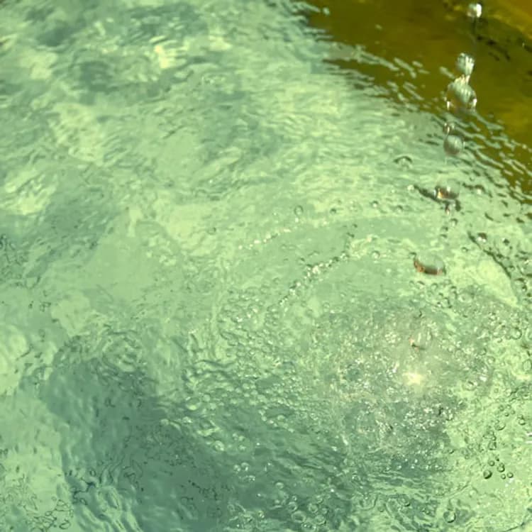 越後湯澤湯元 卵之湯 雪國之宿 高半｜越後湯澤站開車5分/自行車租借-12