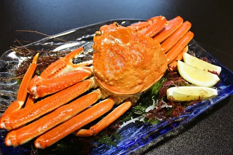 越後湯澤湯元 卵之湯 雪國之宿 高半｜越後湯澤站開車5分/自行車租借-7