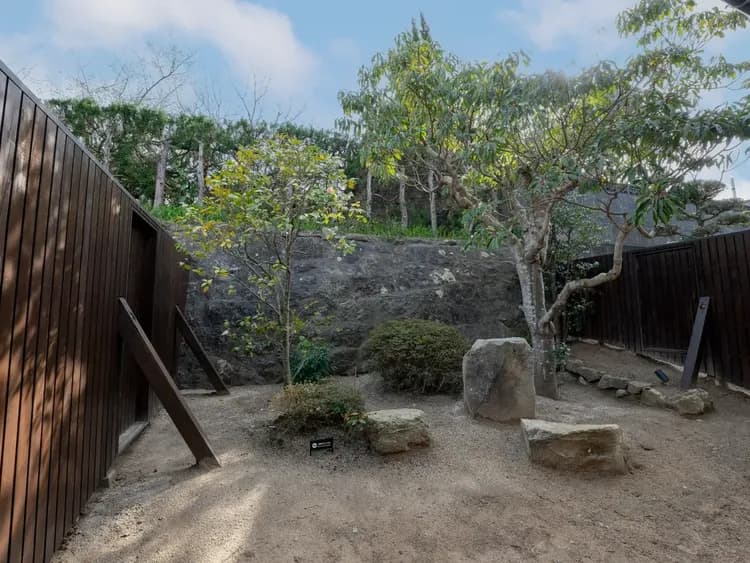 【本棟】日本庭園／木漏れ日や四季で表情を変える植物など、出雲の空気を感じられます。