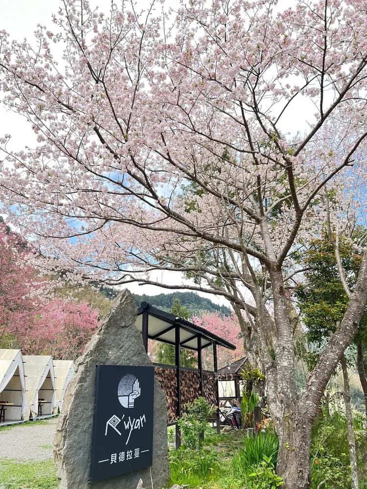 貝德拉蔓露營區 | 一泊三食豪華露營、寵物友善-1