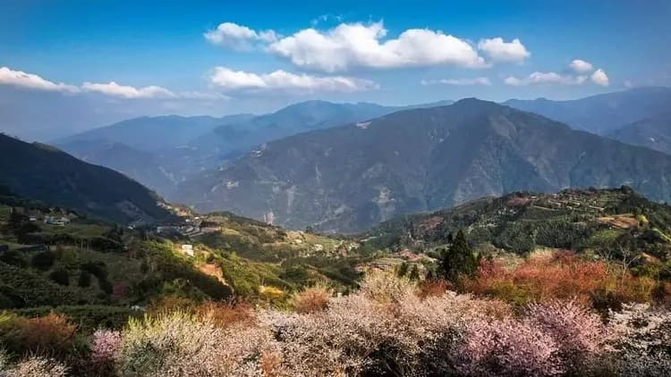 貝德拉蔓露營區 | 一泊三食豪華露營、寵物友善-12