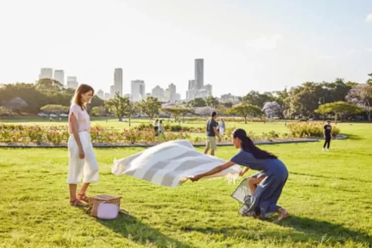 東澳黃金雪梨～藍山國家公園、雪梨塔歌劇院、賞藍光螢火蟲、庫倫賓動物園九日-11