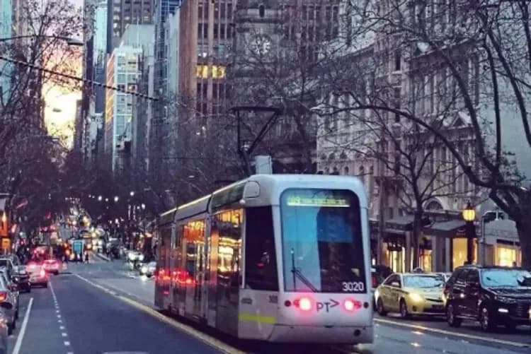 東澳深度全覽~藍山國家公園、莫瑞頓海豚島、普芬蒸汽火車、神仙企鵝歸巢11日-14