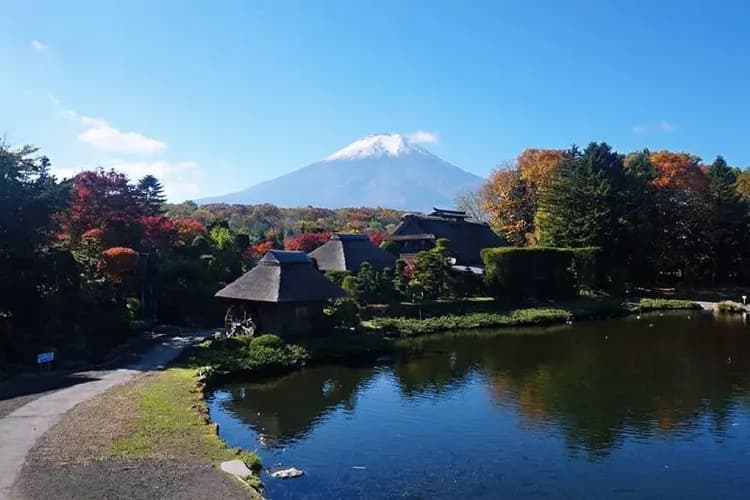 【東京郊遊去】KABA河馬巴士、澀谷天空展望台、遊船夕陽晚餐、河口湖溫泉香五日