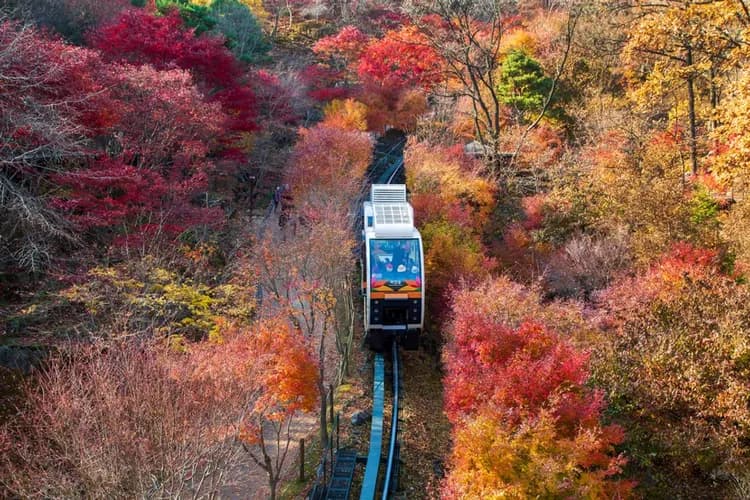 和談林（單軌列車票可於現場加購）