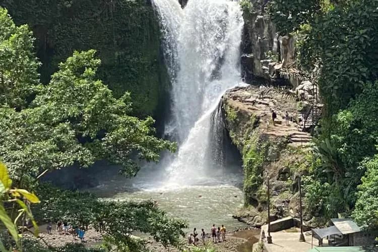 【峇里深呼吸】六人成行、漫遊烏布山林、秘境瀑布鞦韆、凱悅海景午茶、五星品牌酒店五日