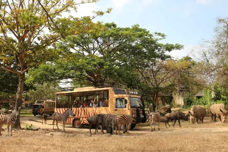 【峇里遇到愛】六人成行、野生動物園、兩次五星午茶、獨棟泳池別墅、兩晚五星飯店五日