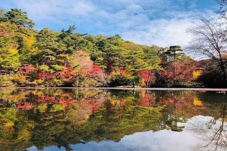 【深秋又楓紅5日】日本環球影城、快速通關四項券、米其林景點、愛戀三都物語