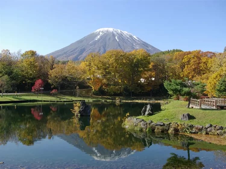 【限定PLUS北海道旅遊5日】全程無自理餐、升等螃蟹宴席料理、函館纜車、小樽漫遊、溫泉美食函函、搭乘星宇航空