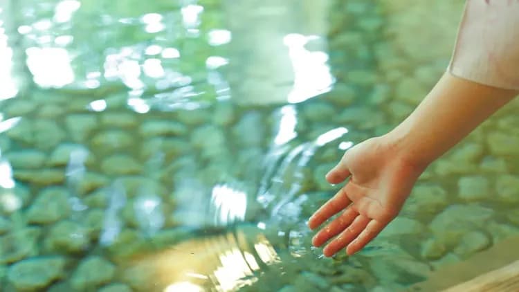 温泉めい想倶楽部　富士屋旅館-10