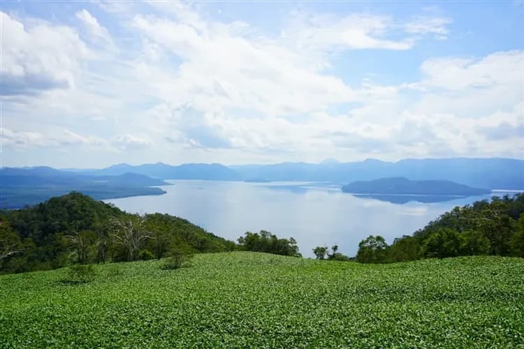 【玩樂369北海道旅遊5日】阿寒湖遊船、愛努村落古式舞踊、熱氣球、銀河流星瀑布、狐狸村、馬公園、三大螃蟹美人湯