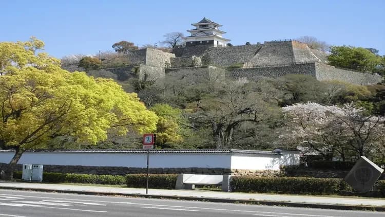 APA飯店 丸龜站前大通 |  丸龜站步行 7 分鐘-10