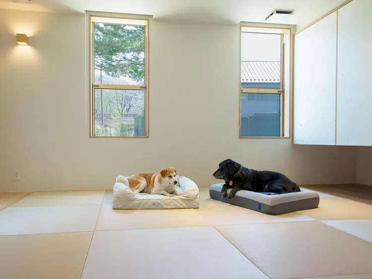 【ドッグベッド】ワンちゃんもゆったり寛げる専用のドッグベッド付。