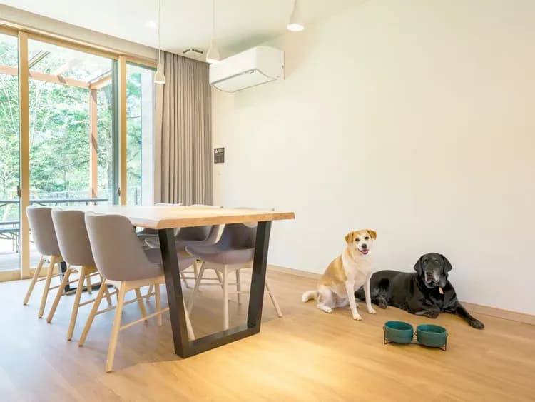 【ダイニング】ワンちゃんもリラックス♪